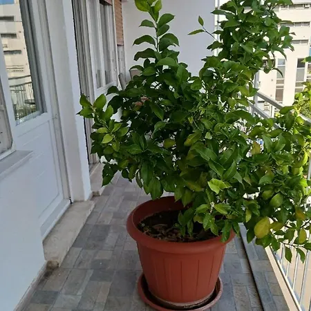 With Private Toilet And Balcony In Center In Shared Appartement Split